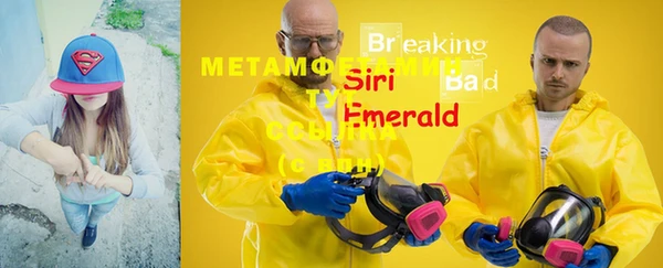 прущий лед Вяземский