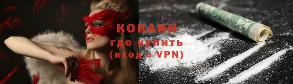прущий лед Вяземский