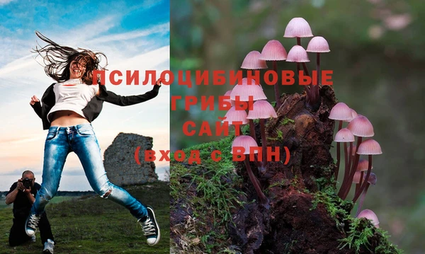 прущий лед Вяземский