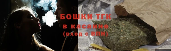 прущий лед Вяземский