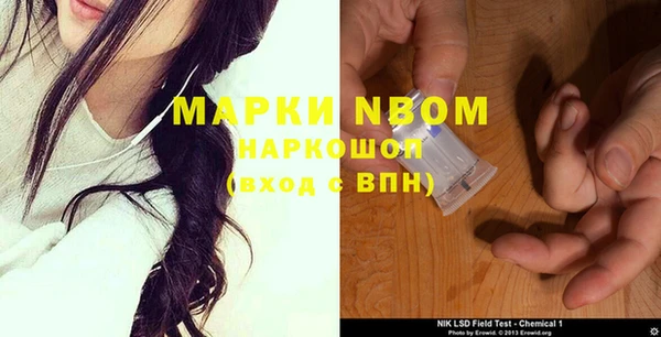 прущий лед Вяземский