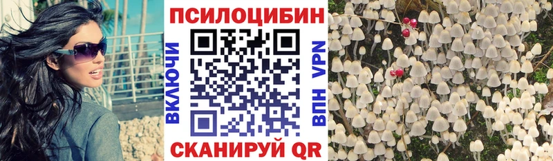 Купить  Коряжма  Псилоцибиновые грибы ЛСД 